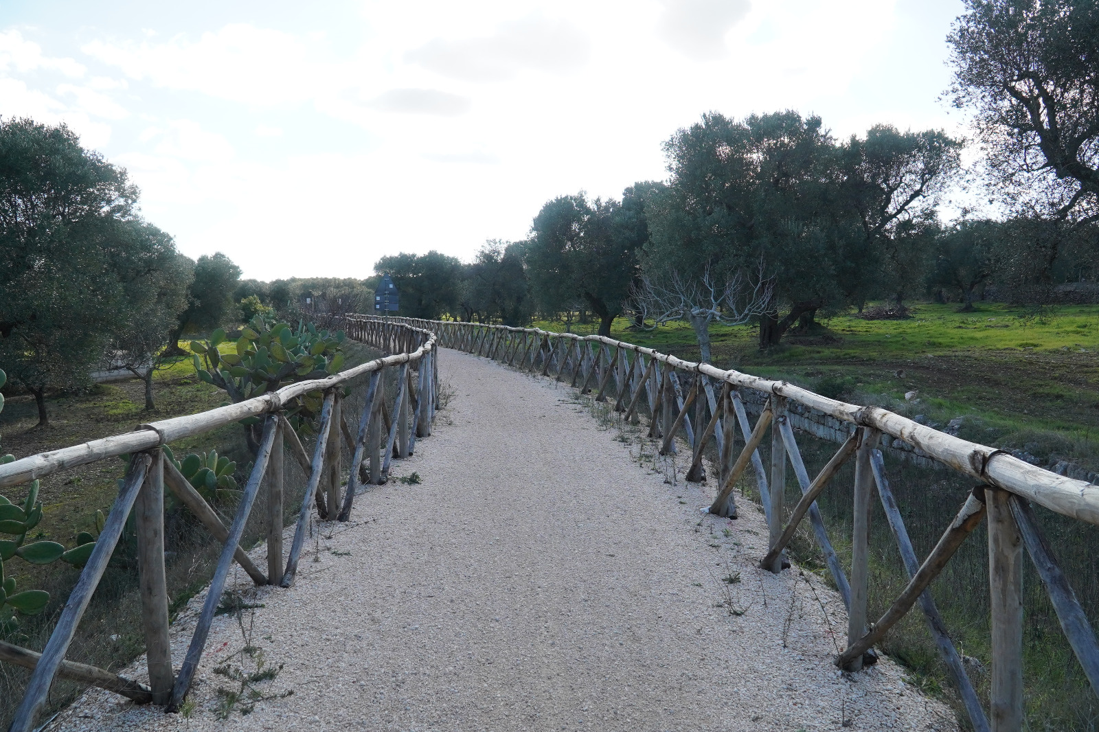 Galleria Nasce la Ciclovia dell’acqua: quattro nuove tratte, con 190 chilometri per innamorarsi del più grande fiume di Puglia - Diapositiva 1 di 16